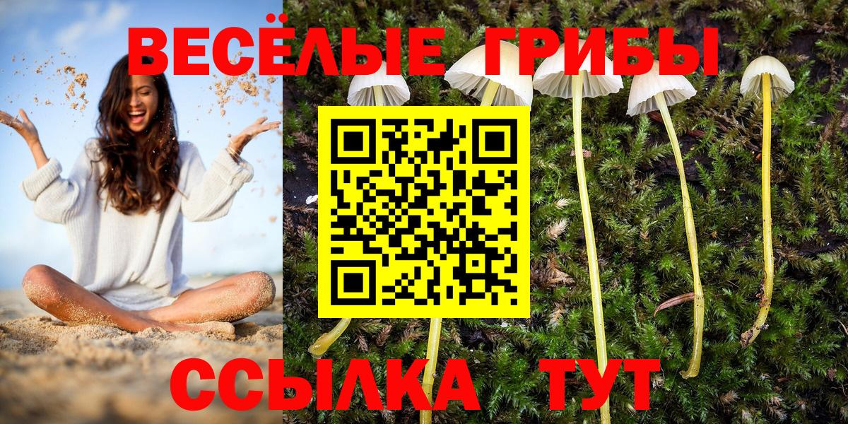 Галлюциногенные грибы MAGIC MUSHROOMS Новодвинск