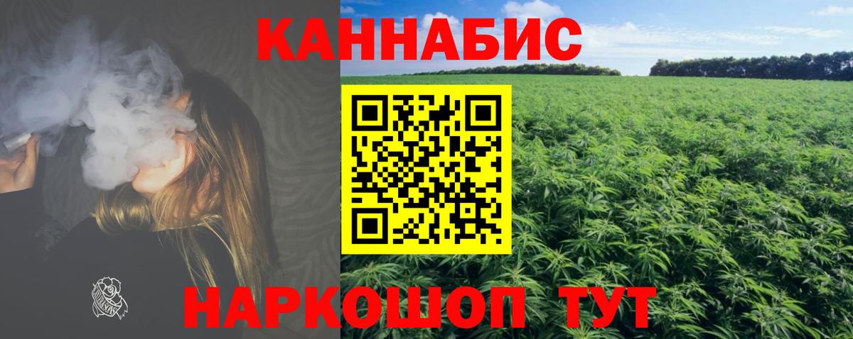 МАРИХУАНА конопля Новодвинск